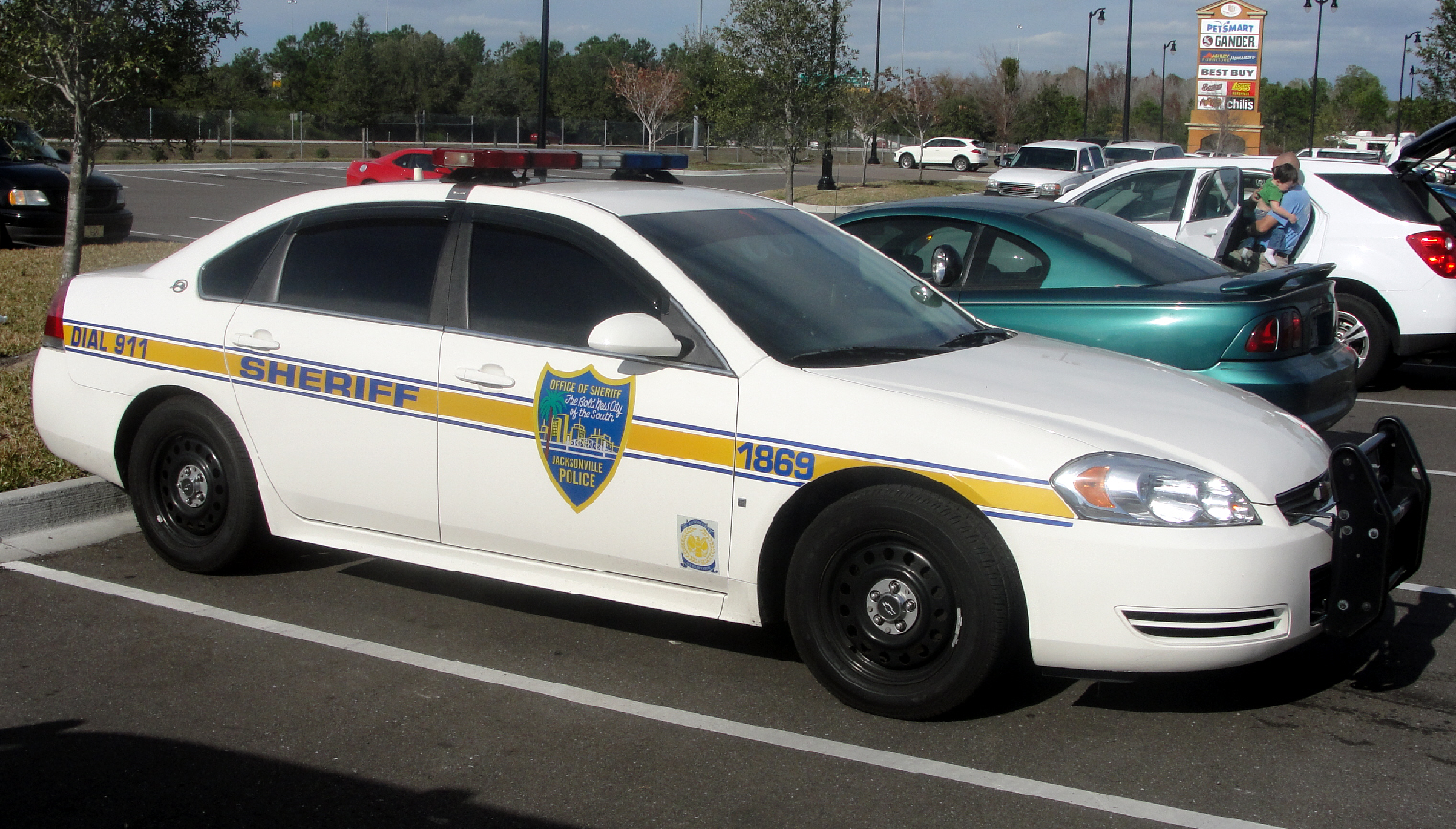 Take A Trip To The Jacksonville Zoo topaccidentinjury10's blogs